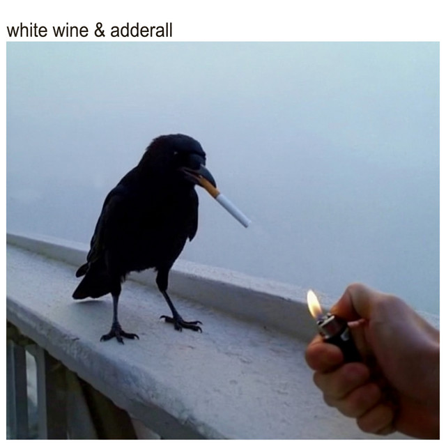 White Wine & Adderall album cover