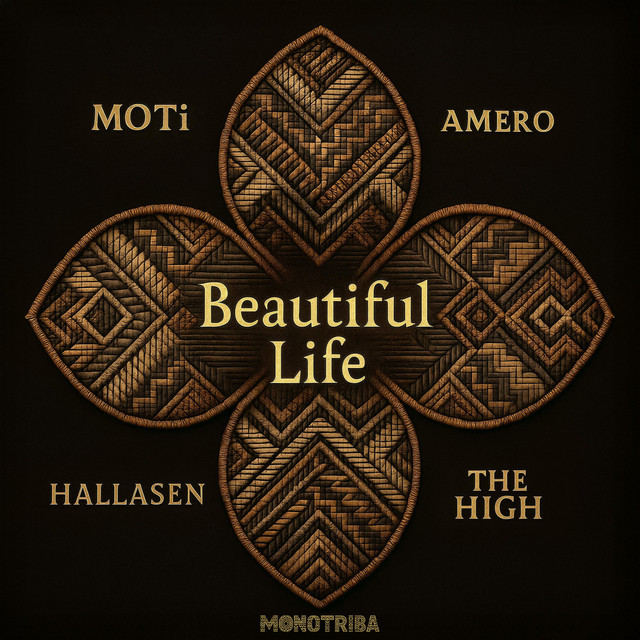 Beautiful Life album cover