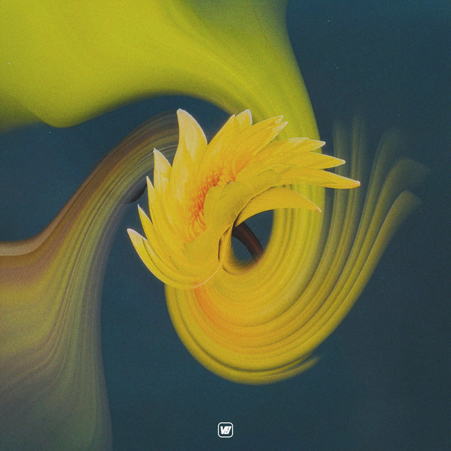 FEEL THE RUSH album cover