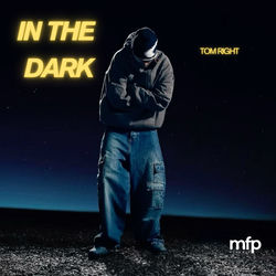 In The Dark album cover