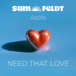 Need That Love album cover