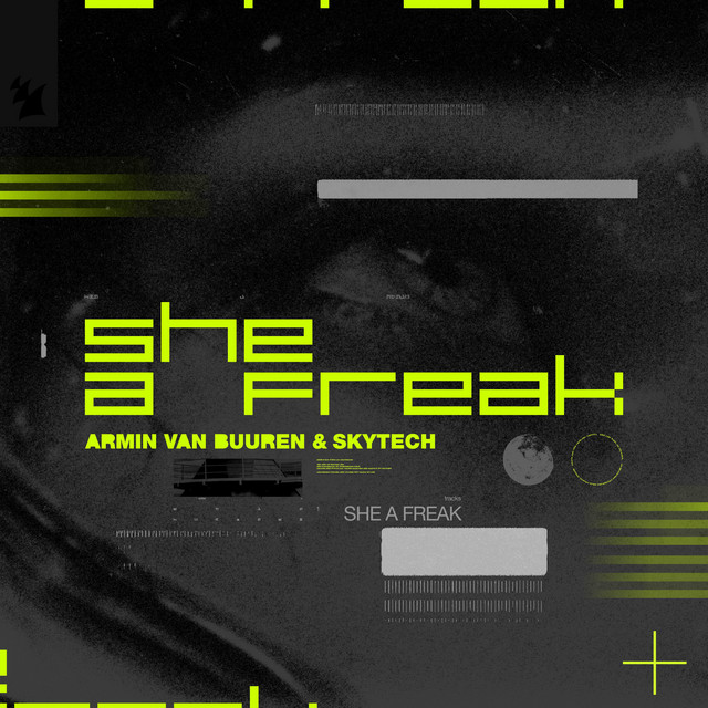 She A Freak album cover