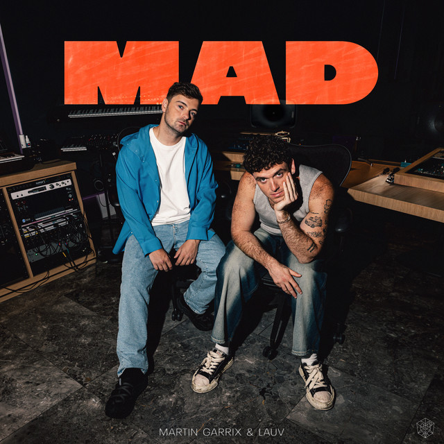 Martin Garrix, Lauv - MAD