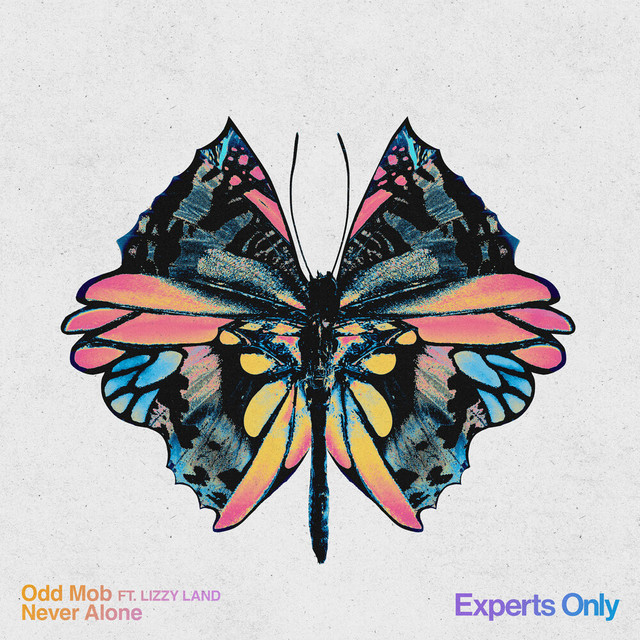 Never Alone (feat. Lizzy Land) album cover