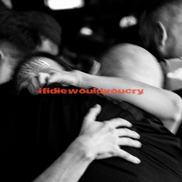 ifidiewouldyoucry album cover