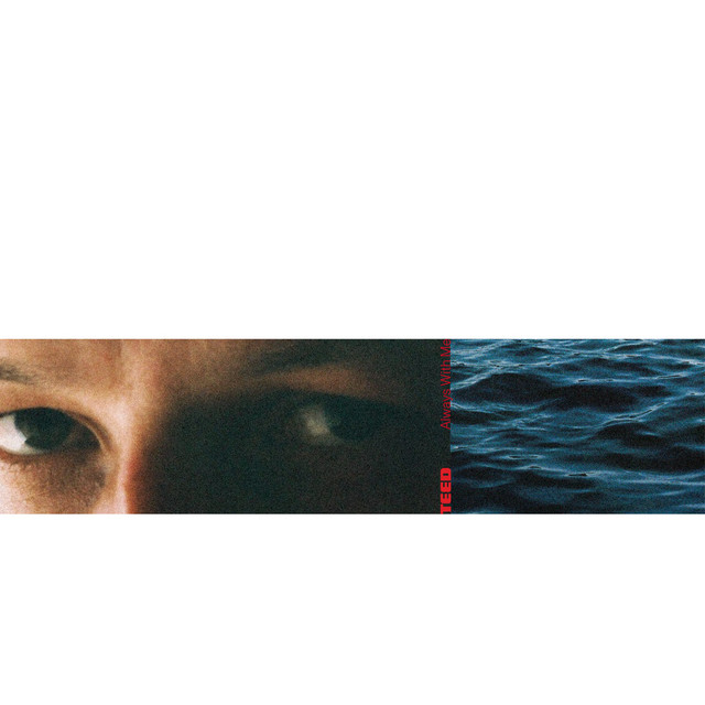 In Darkness album cover