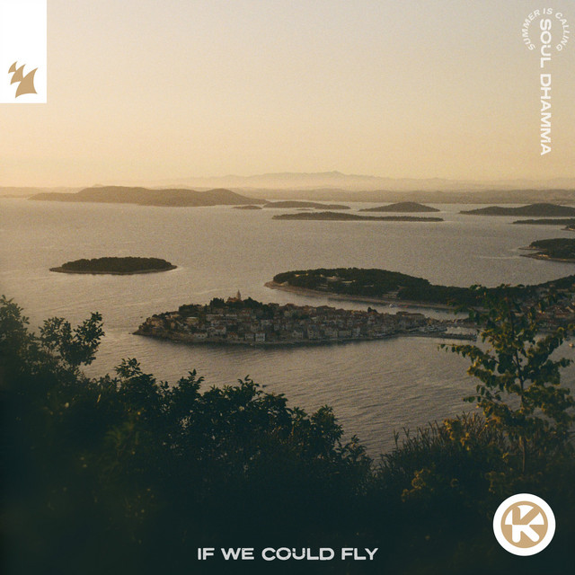 If We Could Fly album cover