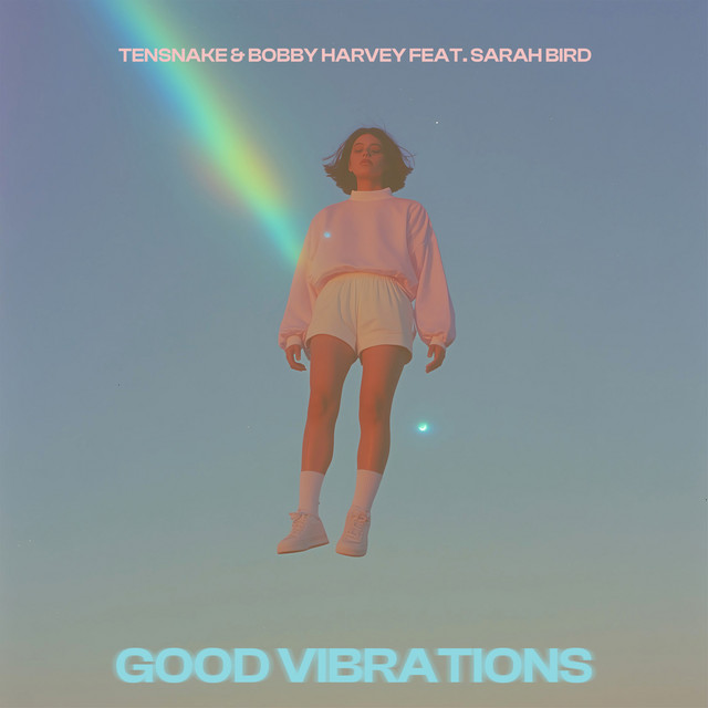 Good Vibrations album cover