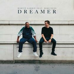 This Dream of You album cover