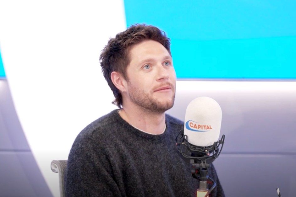 Niall Horan Recalls Having Secret Service ‘All Over’ One Direction Concerts When the Obamas Attended